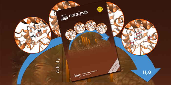 DTU Chemistry - Cover on 'Catalysts'