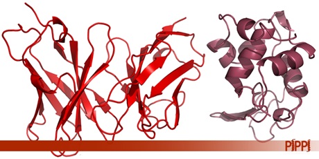 DTU Chemistry - PIPPI